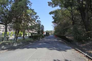 敷地南側の前面道路