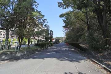 敷地南東側の前面道路