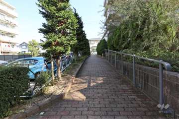 エントランス北側の通路（西側から）
