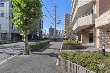 敷地南側の前面道路