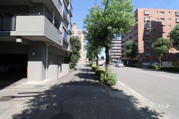 敷地東側の前面道路