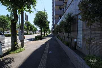 敷地東側の前面道路