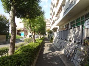 敷地南西側の前面道路。街路樹のきれいな通りです。