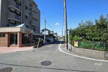 敷地北西側の前面道路（北東側から）