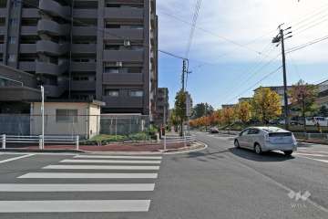 敷地南西側道路を南側に進むと『水辺公園』があります。