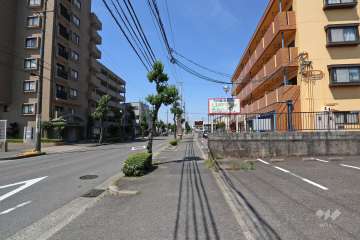 敷地北側の前面道路