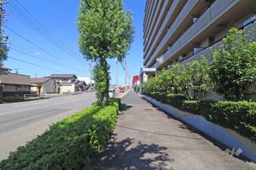 敷地南西側の前面道路