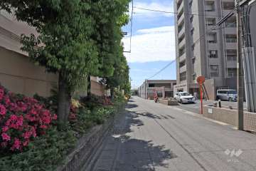 敷地北東側の前面道路