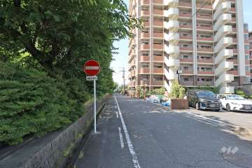 敷地東側の前面道路