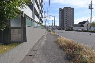 敷地南側の前面道路
