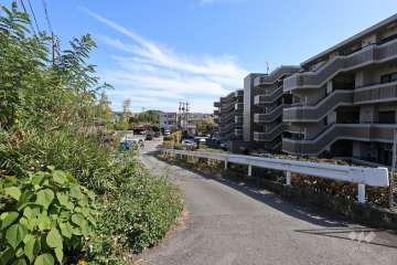 敷地北側の前面道路