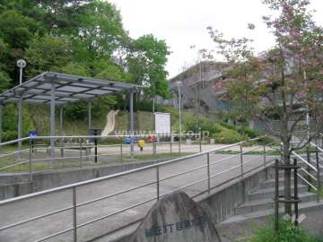 敷地に隣接する公園と千里緑地