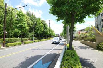 敷地東側の前面道路。2車線のバス通りです。（北側から）