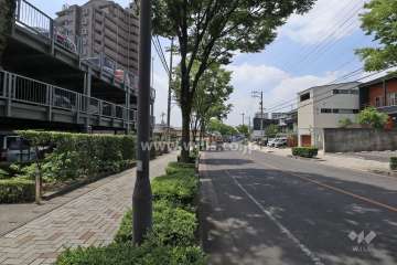 敷地北側の前面道路（東側から）