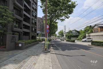 敷地北側の前面道路（東側から）