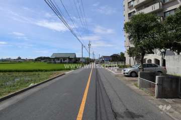 敷地南東側の前面道路（北東側から）