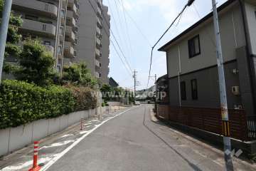 敷地南側の前面道路（西側から）