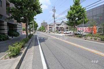 敷地東側の前面道路（南側から）