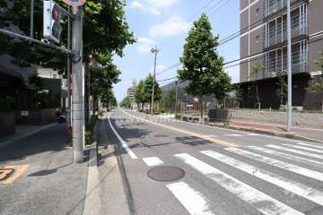 敷地東側の前面道路（南側から）