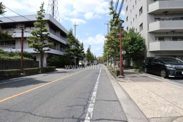敷地西側の前面道路（南側から）