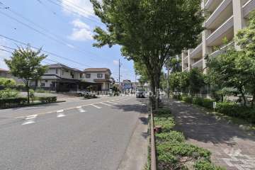 敷地南側の前面道路（東側から）
