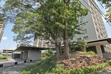 エントランス前の植栽スペース