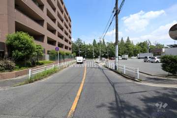 敷地南側の前面道路（西側から）