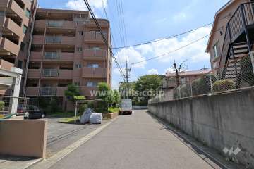 敷地西側の前面道路（北側から）