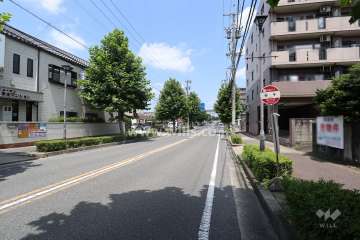敷地西側の前面道路（南側から）