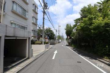 敷地東側の前面道路（南側から）