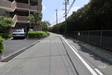 敷地南側の前面道路（西側から）