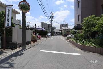 敷地東側の前面道路（北側から）