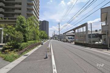 敷地西側の前面道路（北側から）