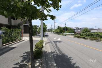 敷地北側の前面道路（東側から）