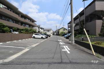 敷地南側の前面道路（西側から）