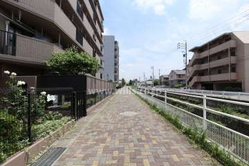 敷地南西側の前面道路（北西側から）