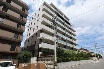 サンメゾン藤が丘イーストエルドの外観（南西側から）