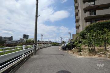 敷地西側の前面道路（南側から）