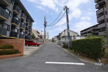 敷地北側の前面道路（西側から）