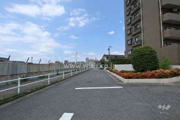 敷地西側の前面道路（南側から）