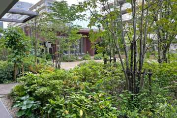 植栽の緑が豊かな敷地内