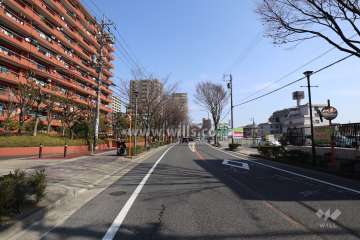 物件の南西側前面道路（北西側から）