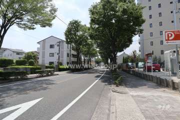 敷地南側の前面道路（東側から）