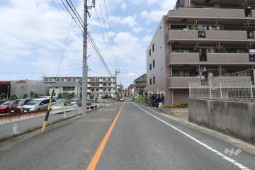 敷地西側の前面道路（南側から）