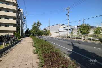 敷地北東側の前面道路（南東側から）