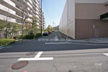 敷地南側の前面道路(西側から)