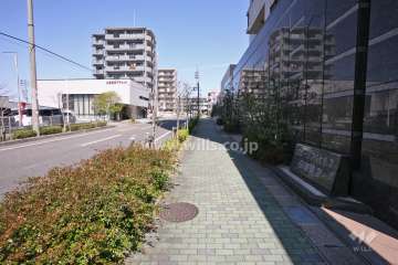 敷地西側の前面道路(南側から)