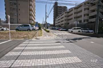 敷地北側の前面道路(西側から)