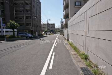 敷地西側の前面道路(北側から)