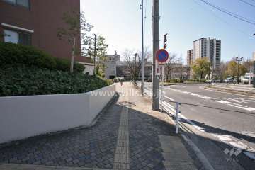 敷地西側の前面道路(北側から)